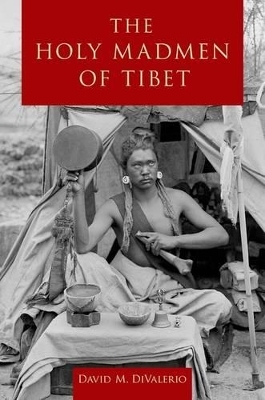 The Holy Madmen of Tibet - David M. DiValerio