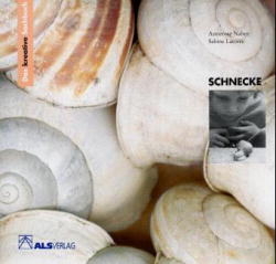 Das kreative Sachbuch "Schnecke" - Annerose Naber, Sabine Latorre