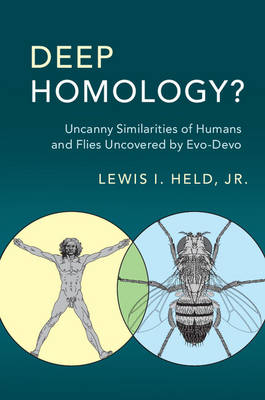 Deep Homology? -  Jr Lewis I. Held