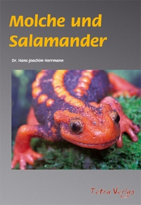 Molche und Salamander - Hans J Herrmann