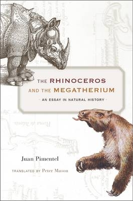 Rhinoceros and the Megatherium -  Pimentel Juan Pimentel