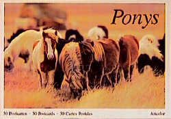 Ponys