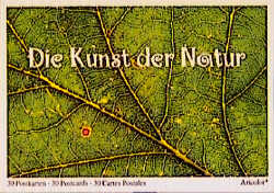 Kunst der Natur