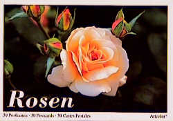 Rosen