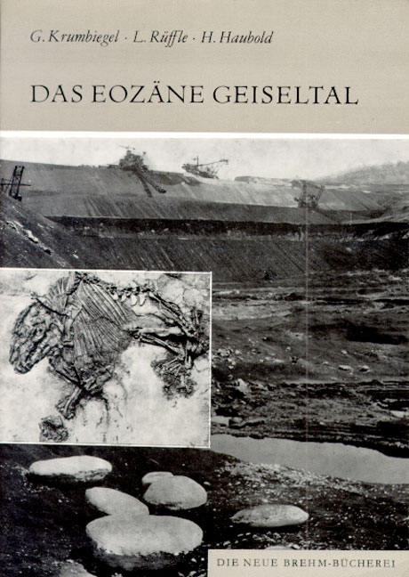 Das eozäne Geiseltal - Günter Krumbiegel, Ludwig Rüffle, Hartmut Haubold