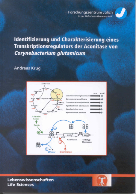 Identifizierung und Charakterisierung eines Transkriptionsregulators der Aconitase von Corynebacterium glutamicum - Andreas Krug