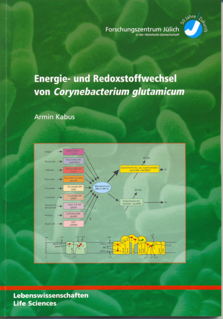 Energie- und Redoxstoffwechsel von Corynebacterium glutamicum - Armin Kabus