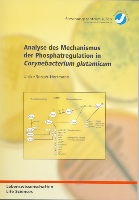 Analyse des Mechanismus der Phosphatregulation in Corynebacterium glutamicum - Ulrike Sorger-Herrmann