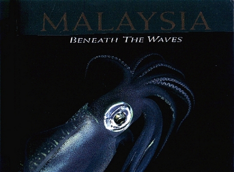 Malaysia - Beneath the Waves - Michael P Wong