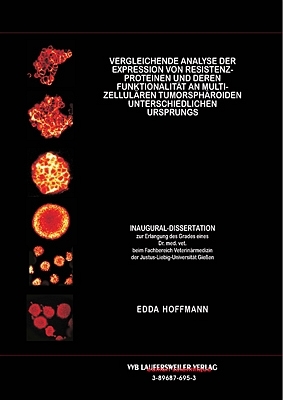 Vergleichende Analyse der Expression von Resistenzproteinen und deren Funktionalität an multizellulären Tumorsphäroiden unterschiedlichen Ursprungs - Edda Hoffmann