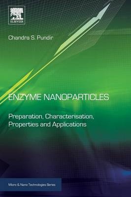 Enzyme Nanoparticles - Chandra S. Pundir