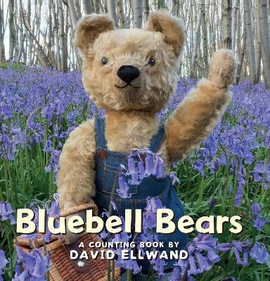 Bluebell Bears - David Ellwand