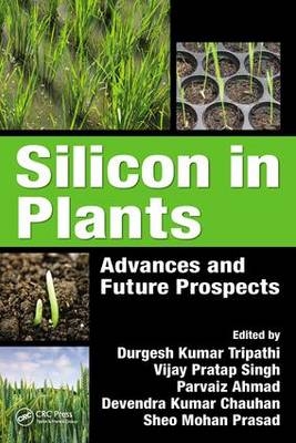 Silicon in Plants - 