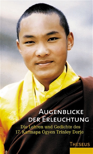 Augenblicke der Erleuchtung -  Ogyen Trinley Dorje (Der 17. Karmapa)