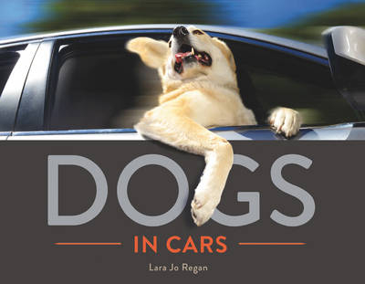 Dogs in Cars - Lara Jo Regan