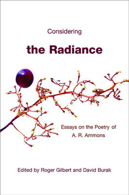 Considering the Radiance - 