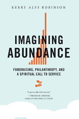 Imagining Abundance - Kerry Alys Robinson