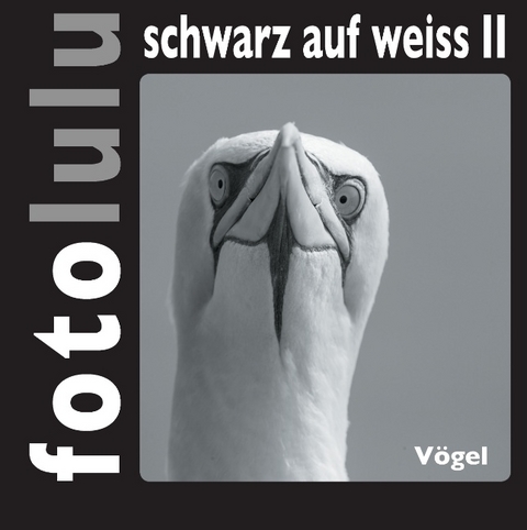 fotolulu schwarz auf weiss II -  fotolulu