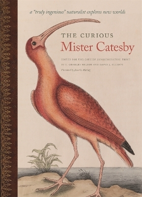 The Curious Mister Catesby - 