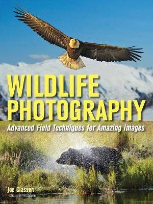 Wildlife Photography - Joe Classen