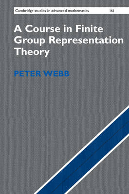 Course in Finite Group Representation Theory -  Peter Webb