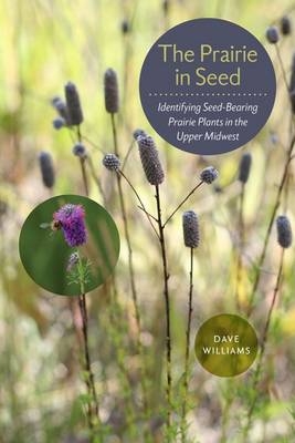 Prairie in Seed -  Williams Dave Williams