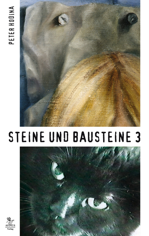 Steine und Bausteine 3 - Peter Hodina