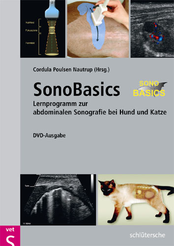 SonoBasics, DVD-ROM - 