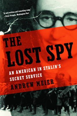 The Lost Spy - Andrew Meier