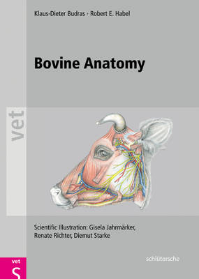 Bovine Anatomy - Klaus D Budras, Robert E Habel