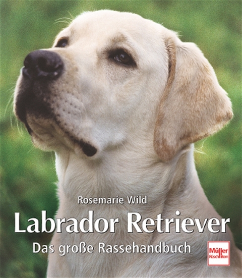 Labrador Retriever - Rosemarie Wild