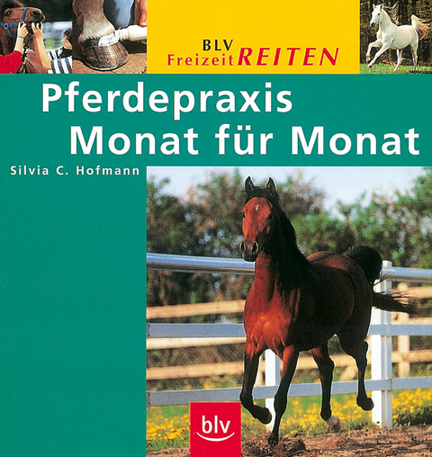 Pferdepraxis Monat für Monat - Silvia C Hofmann