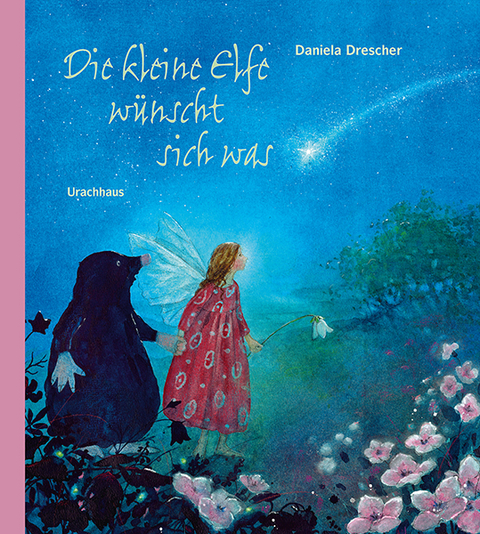 Die kleine Elfe wünscht sich was - Daniela Drescher