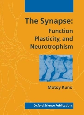 The Synapse - Motoy Kuno
