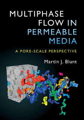 Multiphase Flow in Permeable Media -  Martin J. Blunt