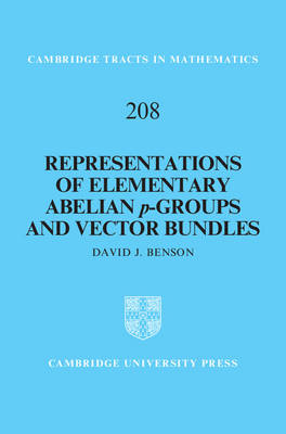 Representations of Elementary Abelian p-Groups and Vector Bundles -  David J. Benson