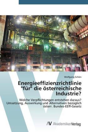 Energieeffizienzrichtlinie "fÃ¼r" die Ã¶sterreichische Industrie? - Wolfgang SchÃ¶n