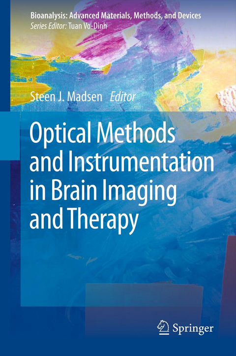 Optical Methods and Instrumentation in Brain Imaging and Therapy - 