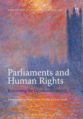 Parliaments and Human Rights - 