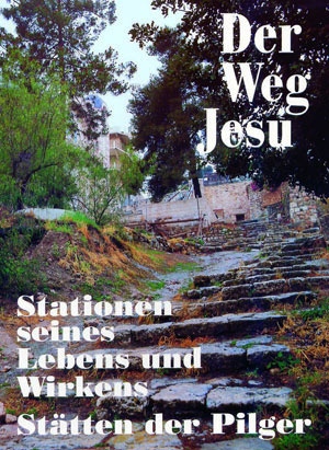 Der Weg Jesu - Reinhold Then