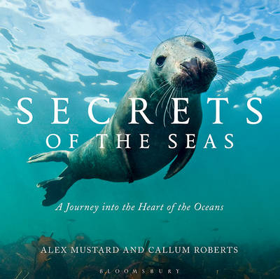 Secrets of the Seas -  Roberts Callum Roberts
