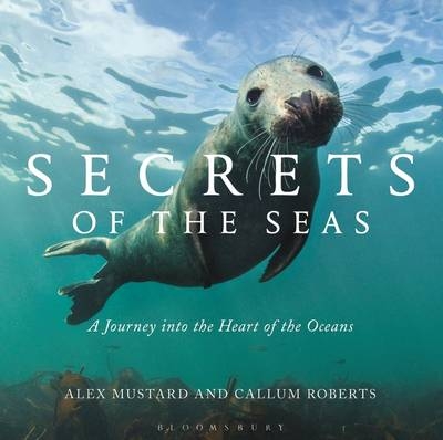Secrets of the Seas -  Roberts Callum Roberts