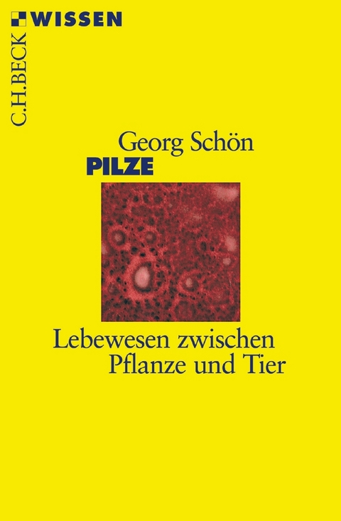 Pilze - Georg Schön