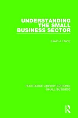 Understanding The Small Business Sector -  David J. Storey