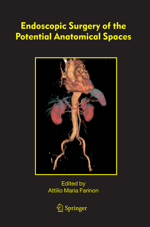 Endoscopic Surgery of the Potential Anatomical Spaces - 