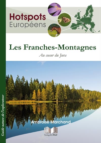 Les Franches-Montagnes - Ambroise Marchand