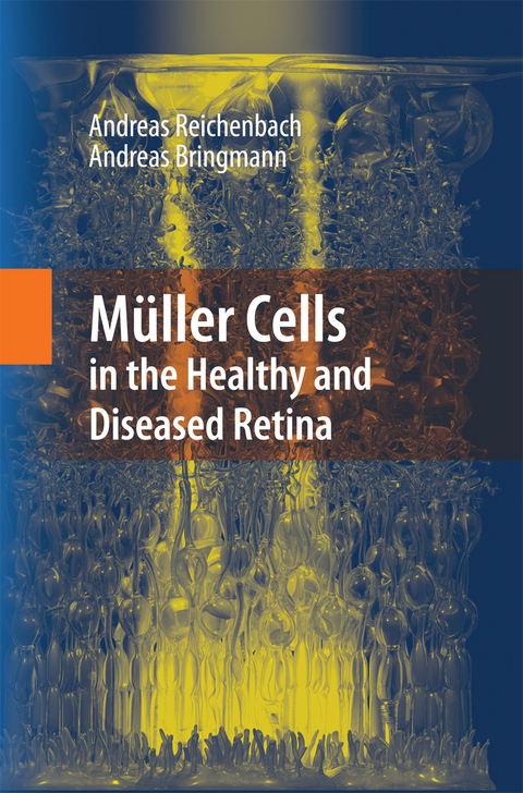 Müller Cells in the Healthy and Diseased Retina - Andreas Reichenbach, Andreas Bringmann