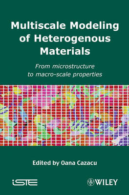 Multiscale Modeling of Heterogenous Materials - 