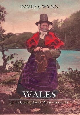 Wales In the Golden Age of Picture Postcards - David Gwynn