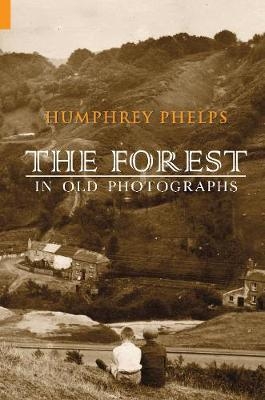 The Forest in Old Photographs - Humphrey Phelps